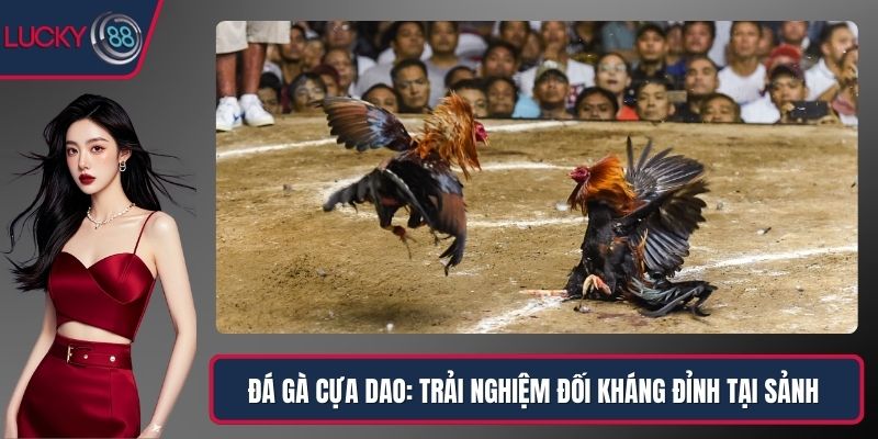 Đá Gà Cựa Dao: Trải Nghiệm Đối Kháng Đỉnh Tại Sảnh Lucky88