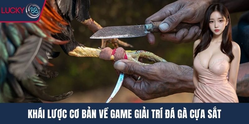 Khái lược cơ bản về game giải trí đá gà cựa sắt
